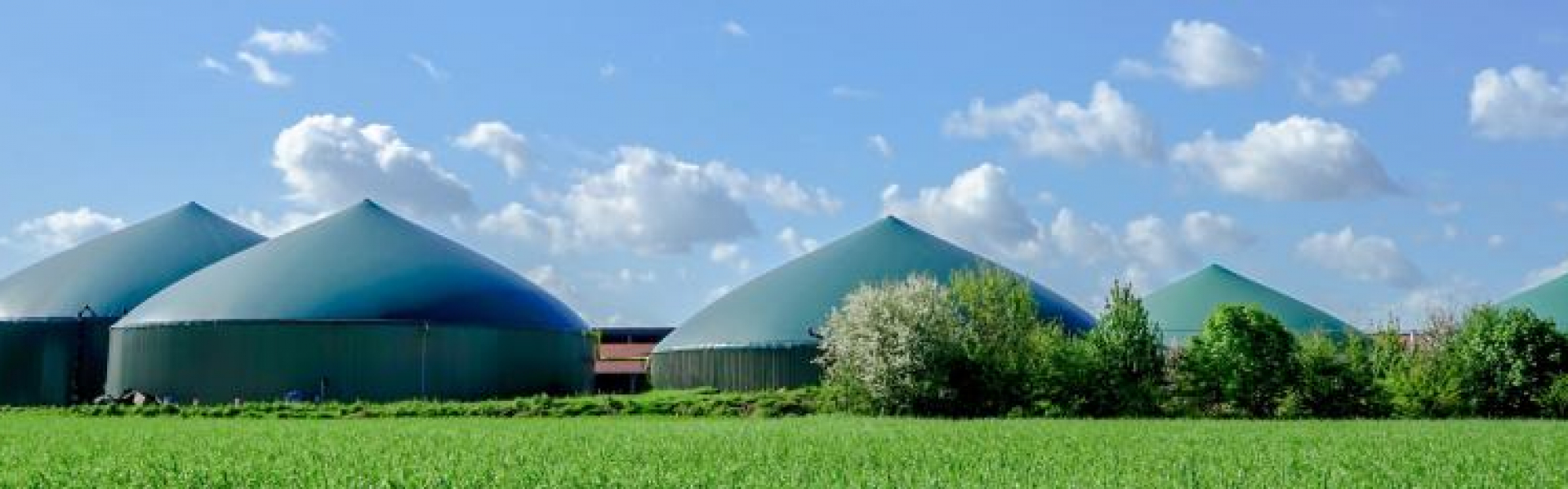 banner biogas